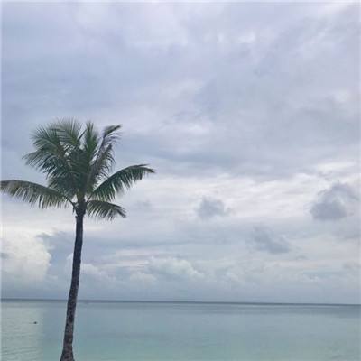 cq9电子游戏app手机app下载